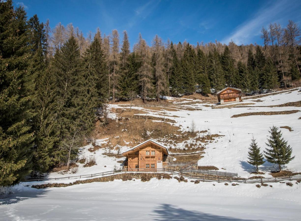 Вилла Chalet Bambi Рабби Экстерьер фото