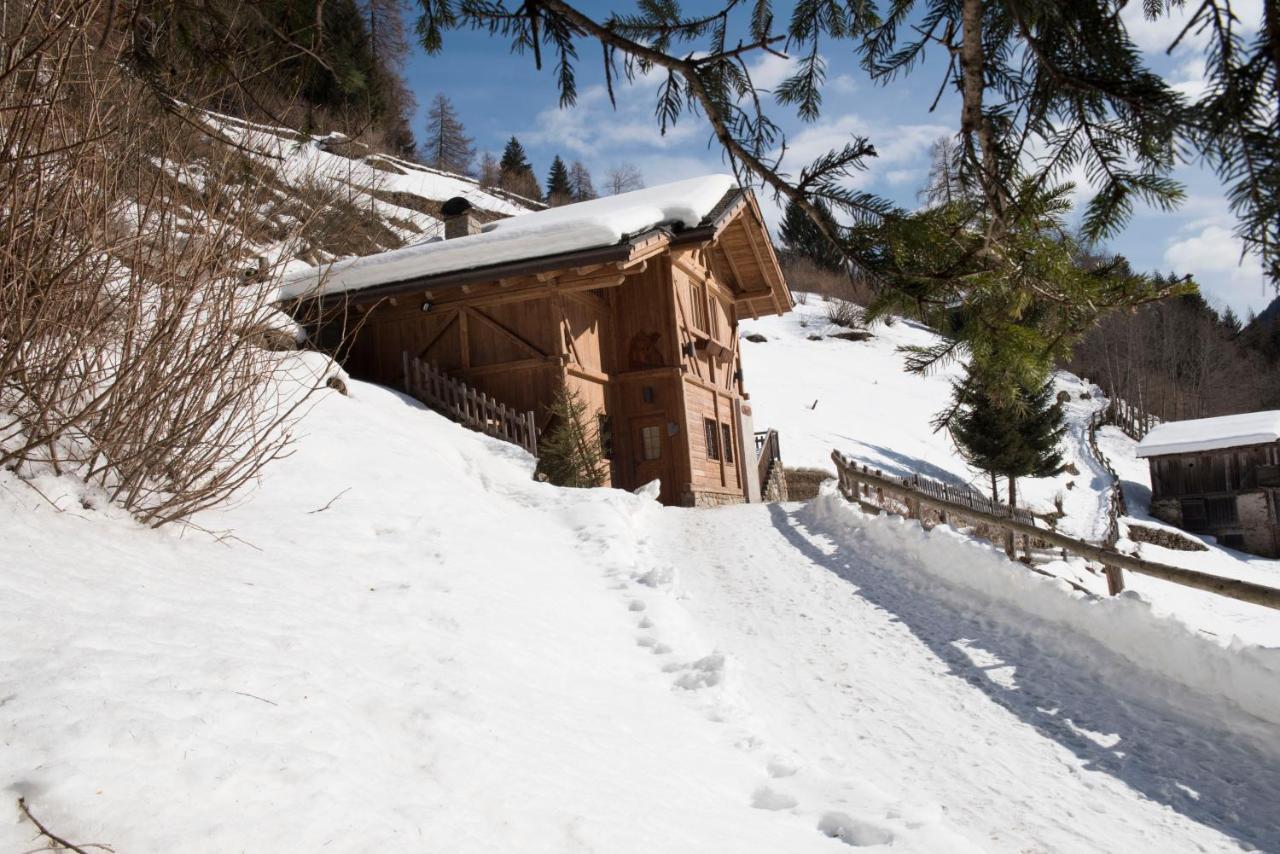 Вилла Chalet Bambi Рабби Экстерьер фото