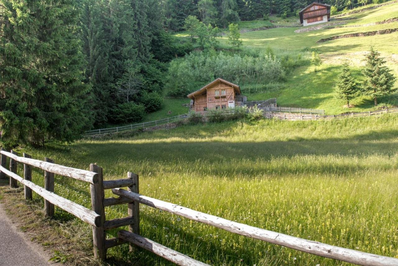 Вилла Chalet Bambi Рабби Экстерьер фото