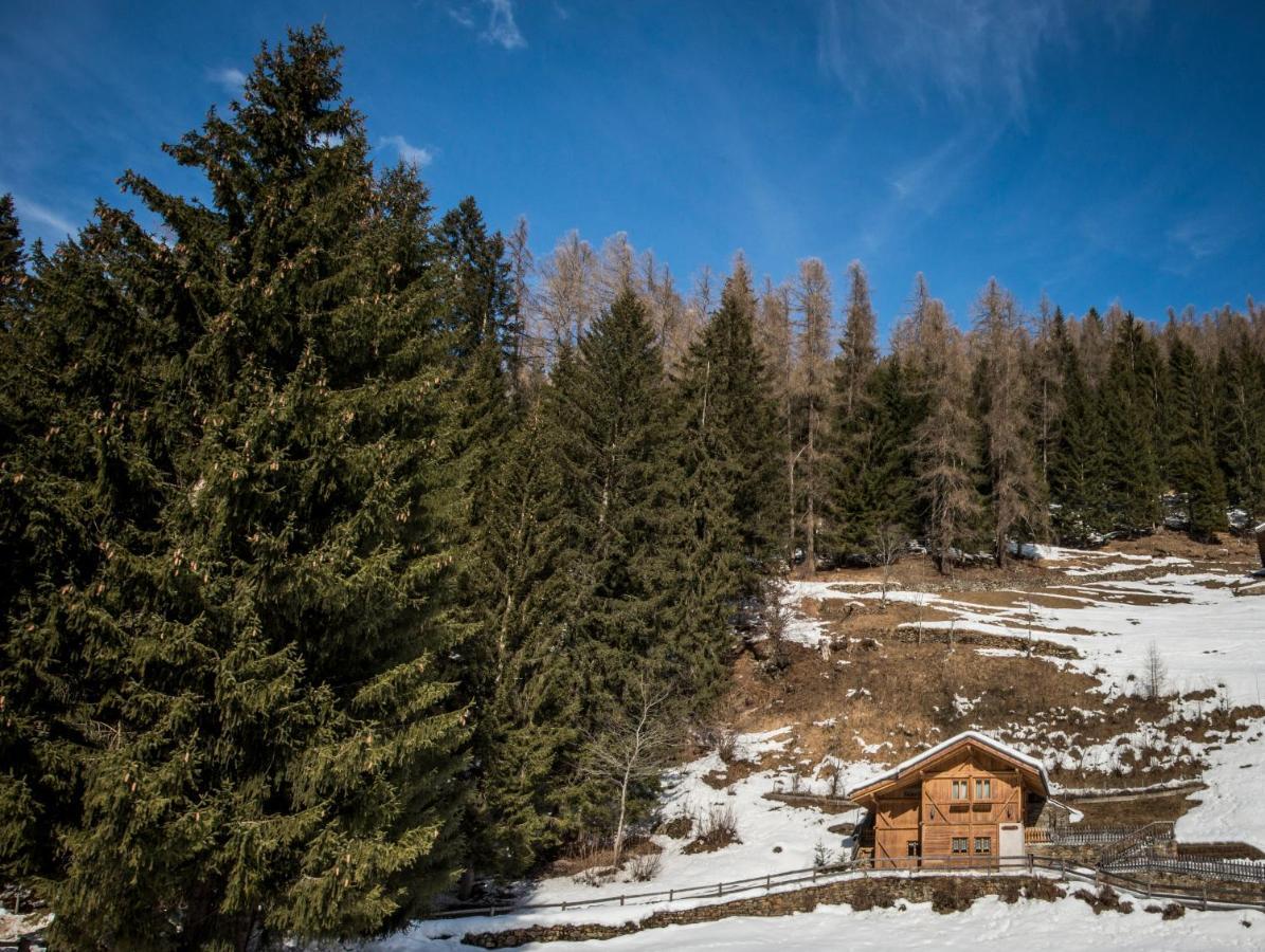 Вилла Chalet Bambi Рабби Экстерьер фото