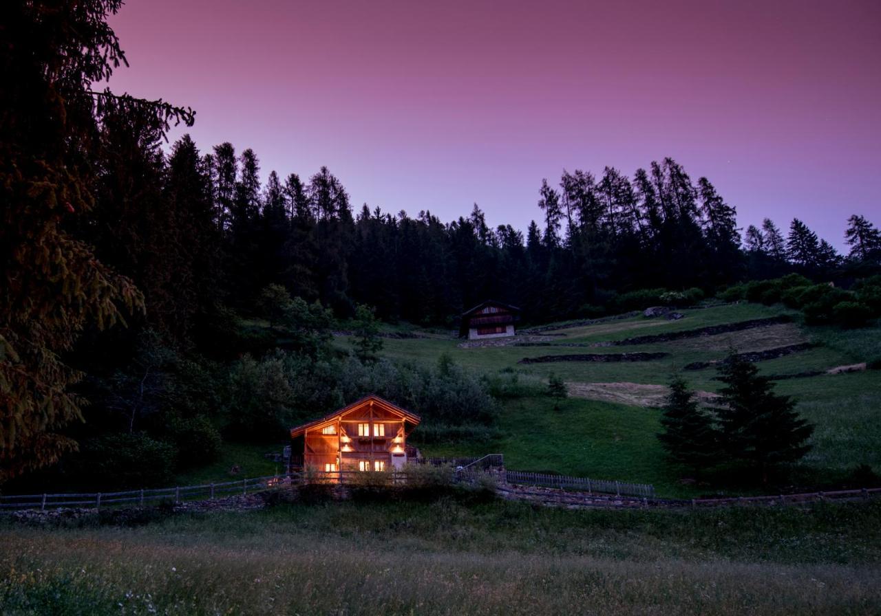 Вилла Chalet Bambi Рабби Экстерьер фото